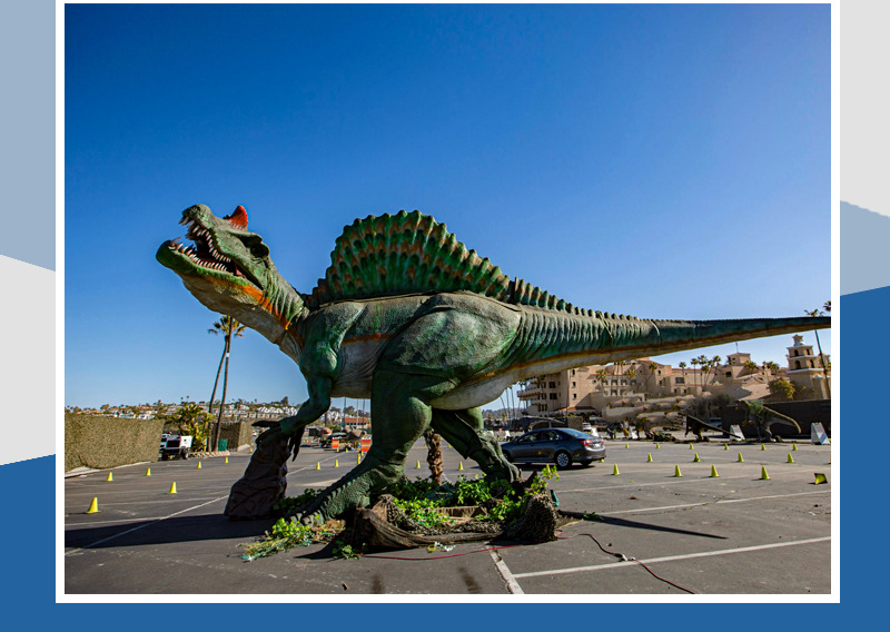 大润发贵宾厅|Home