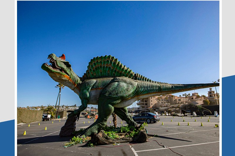 大润发贵宾厅|Home