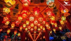 “全国第一灯”自贡国际恐龙花灯会