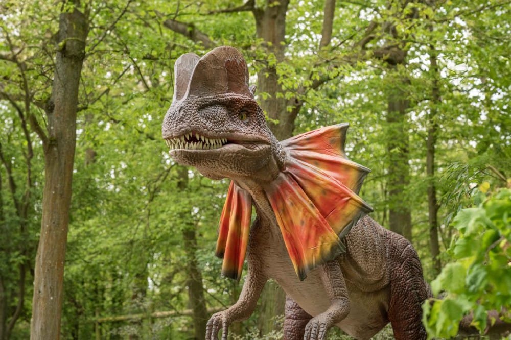 英国恐龙公园dinopark